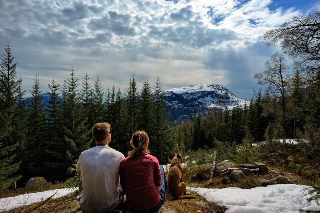 Jolstraholmen Camping Og Hytter Vassenden Esterno foto
